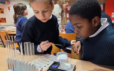 Création d&rsquo;un soda  P5B