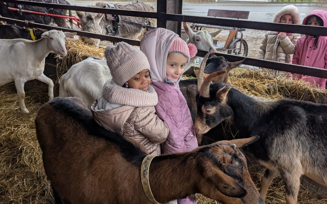 Sortie à la ferme pour les M2