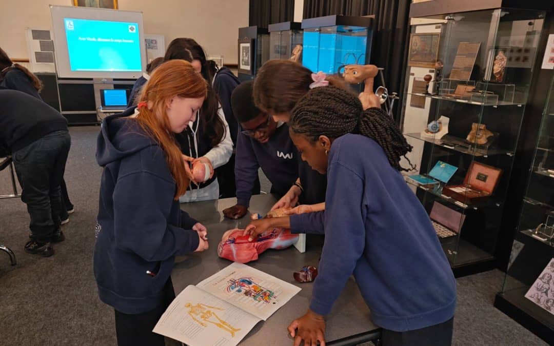 Les P6B au musée de la médecine à Erasme