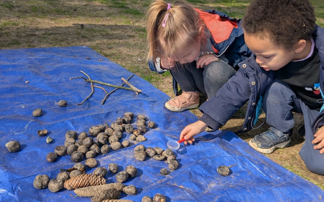 Sortie au parc pour les M1B et M2B