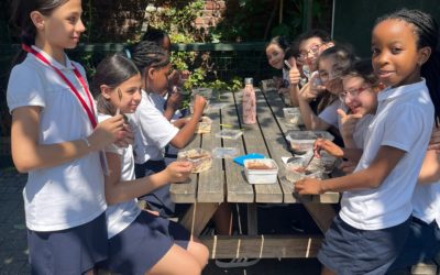 Atelier tiramisu pour les P5I